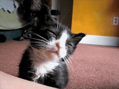 Котэ кимарит