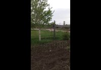 video_89854594