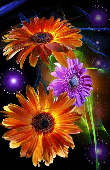 flowersani zWDLlfff