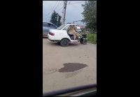 Какой категории права нужны