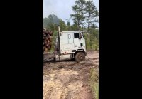 video_105810053