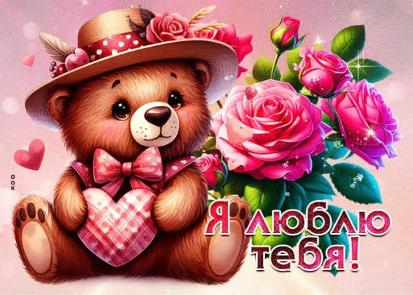 IMG-20250513-WA0055