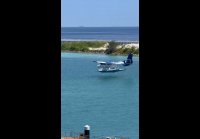 video_98226271