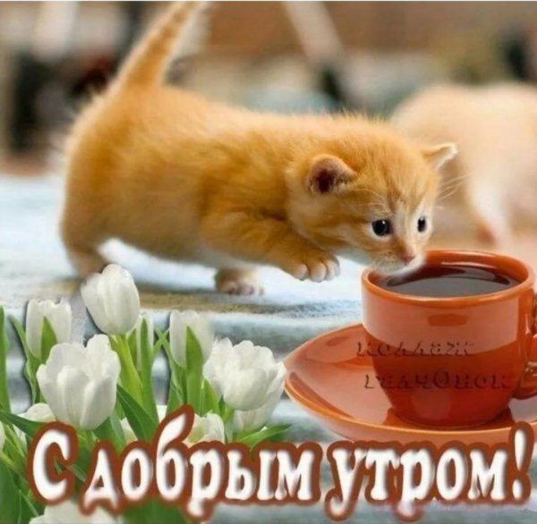 IMG-20241227-WA0000
