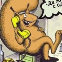 (11)