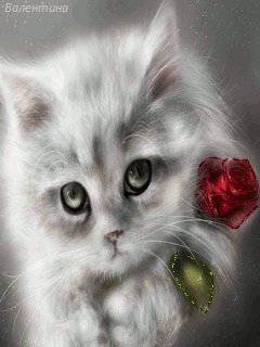 file_59128479