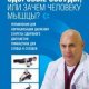 Здоровые сосуды или зачем человку мышцы