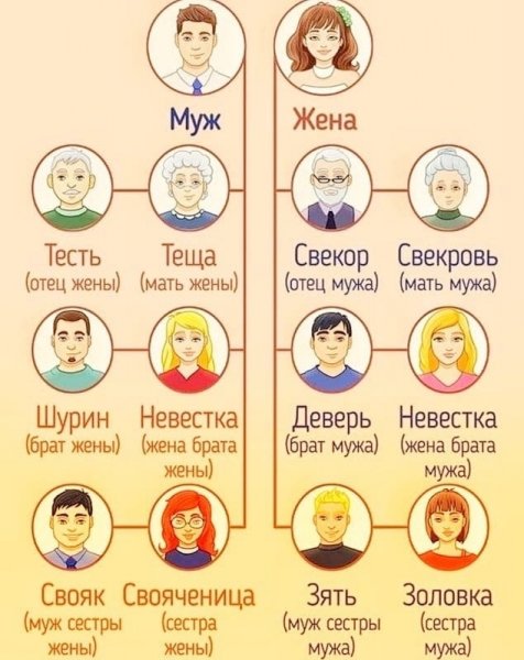 file_100624548