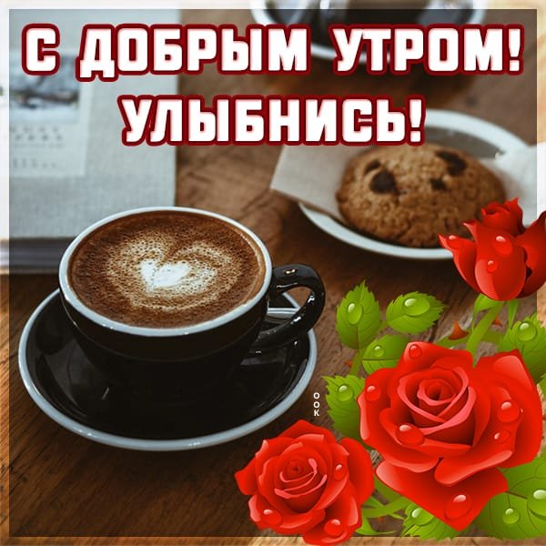 IMG-20240905-WA0001