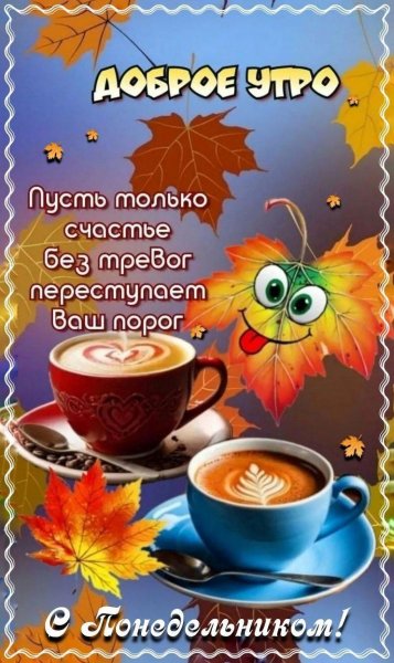 IMG-20251020-WA0012