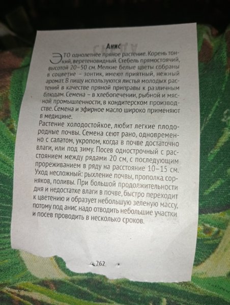 IMG20250910221710