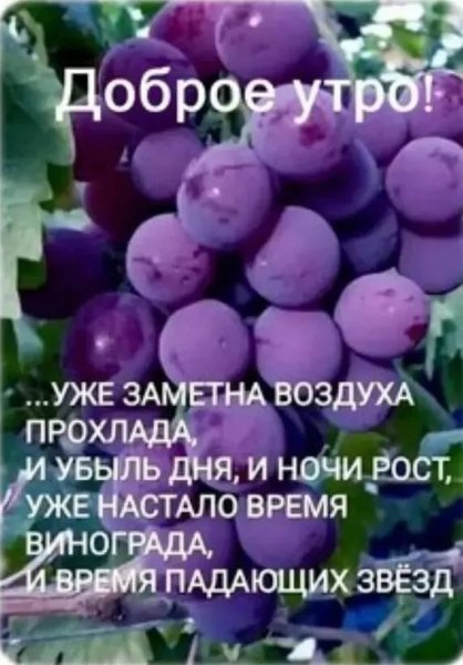 IMG-20250902-WA0008
