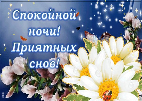 Спокойной ночи