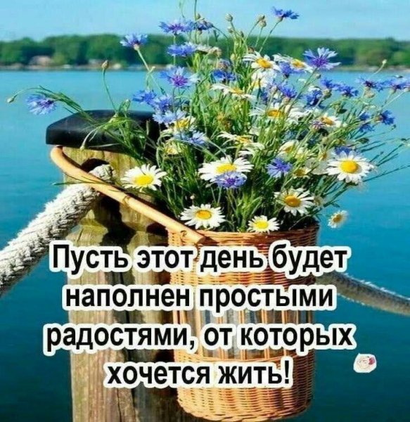 IMG-20250705-WA0011 (1)