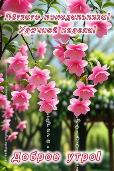IMG 20250630 031213 199