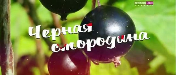Алёна Росс &amp;amp; SEVENROSE - Чёрная смородина (2021)