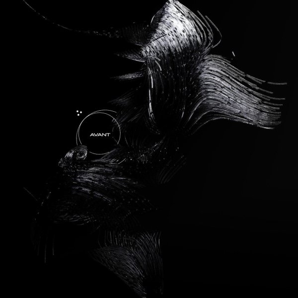 Canoto - Avant