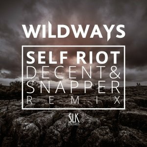 Wildways - Self riot (Decent &amp;amp; Snapper Remix)