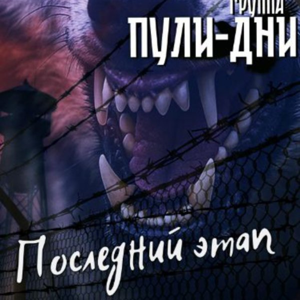 Группа Пули-Дни - Последний этап