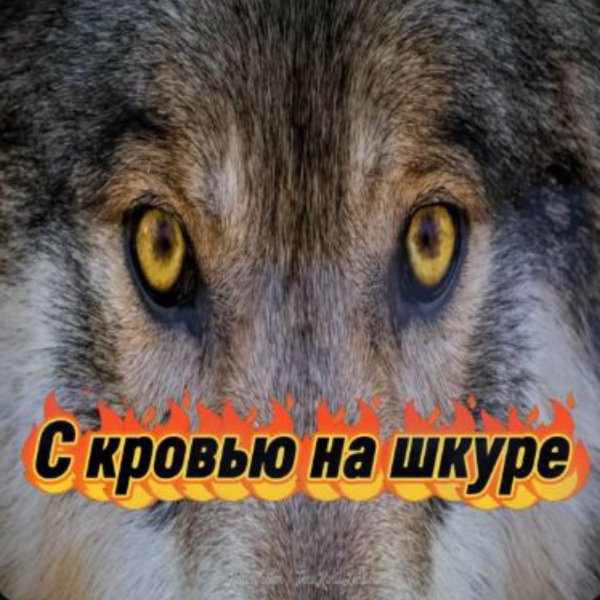 Олег Цайгер - С кровью на шкуре