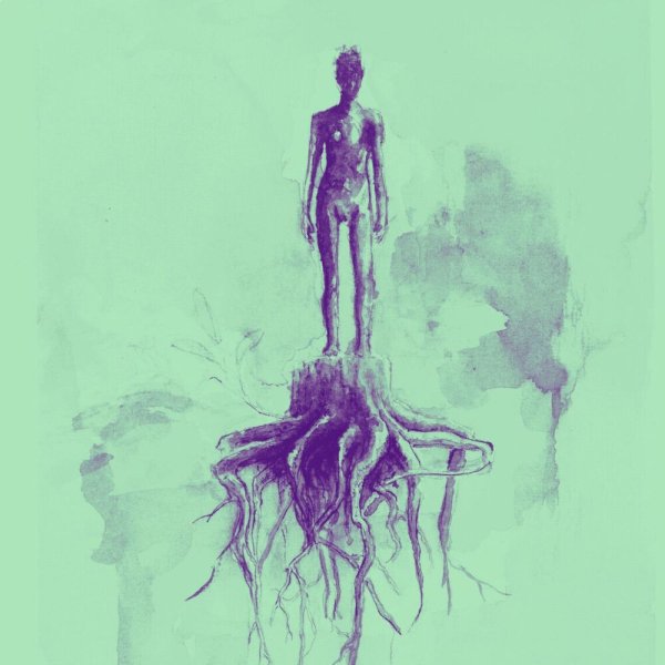 Lookas - Roots