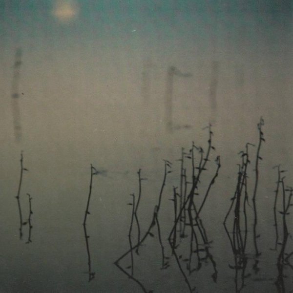 Tenhi - Hallavedet