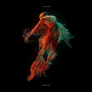 SLWDWN - Simulation