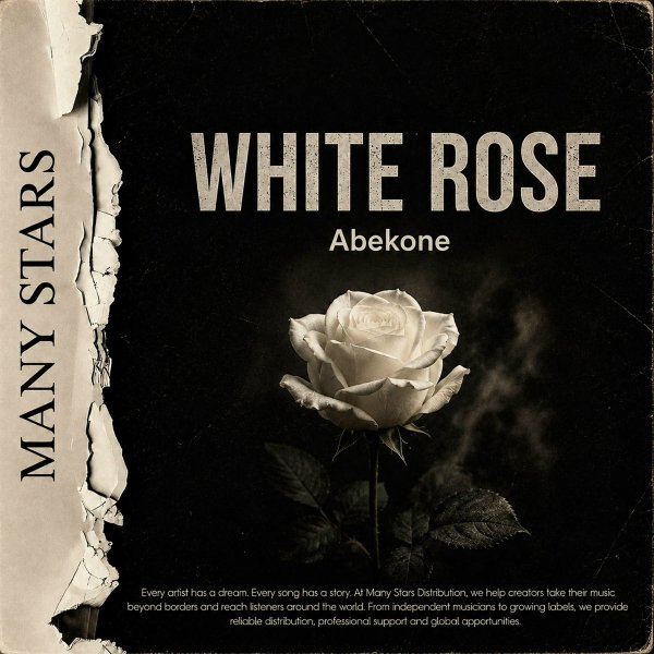 Abekone - White Rose