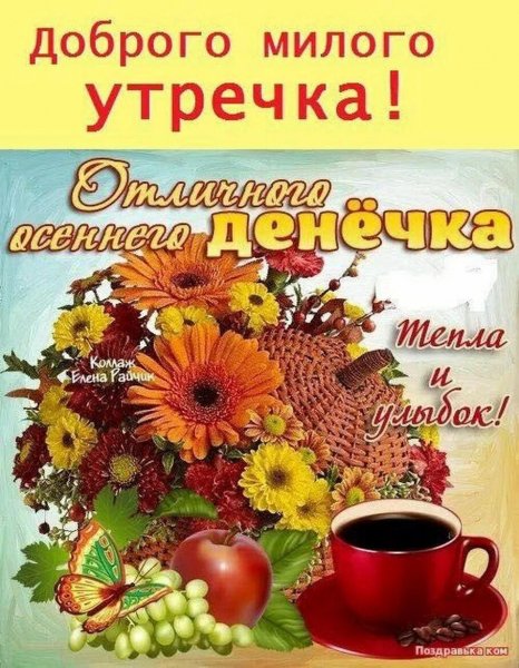 Друзья мои!