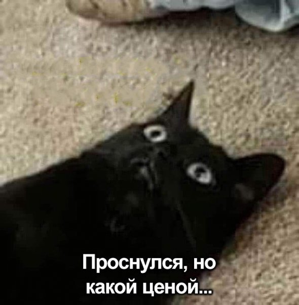 )
