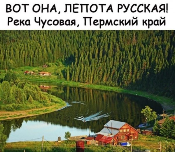 6c1a09c412 20255111