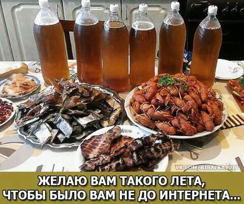 лето 212857