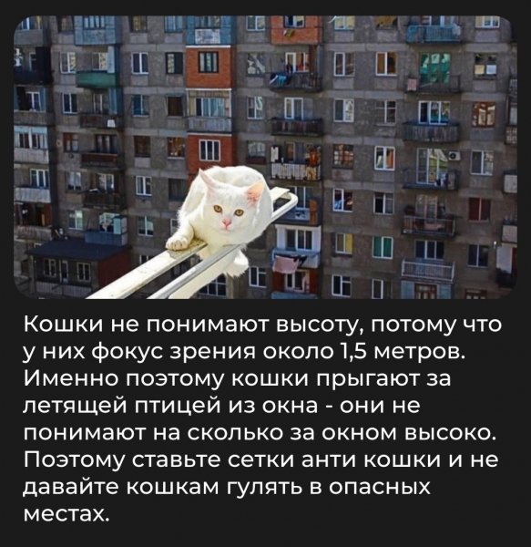 JEPat7jLYmPGhdzlxb5ftIY8PSut8d536NW3xftFN5ZCganA2VYe dlVGaNj