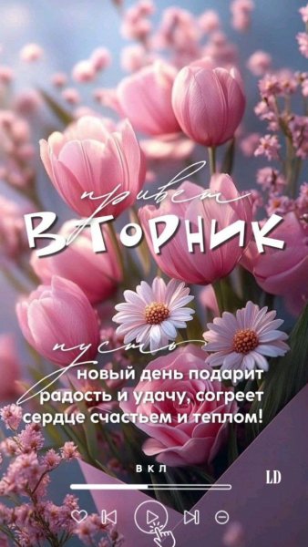 IMG-20250603-WA0002