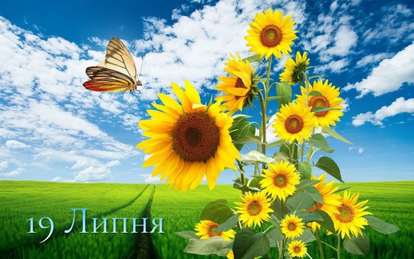 19 Липня