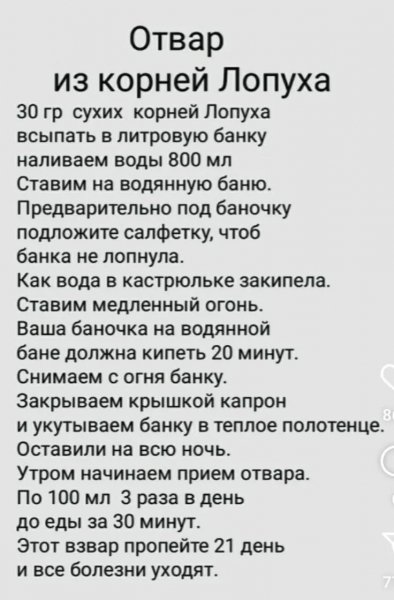 IMG 20250624 081434