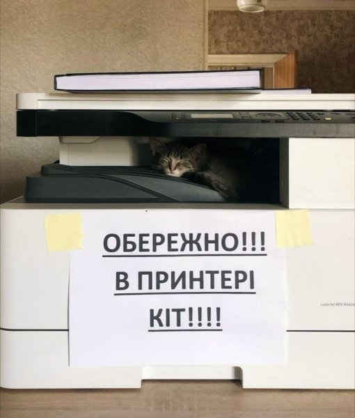КотЭ)