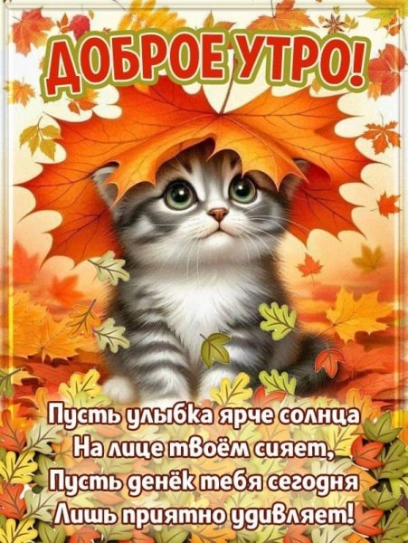 Доброе Утро