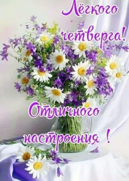 01f24917-b13a-48c7-b048-b73bdc8f7403