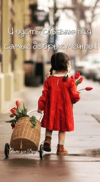 Пусть мечты сбываются!!!!