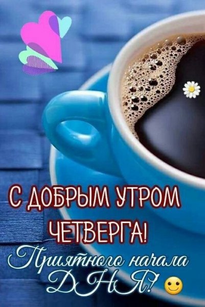 Друзья мои!
