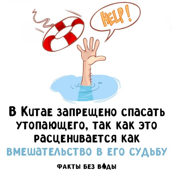 IMG 20250730 115004 037