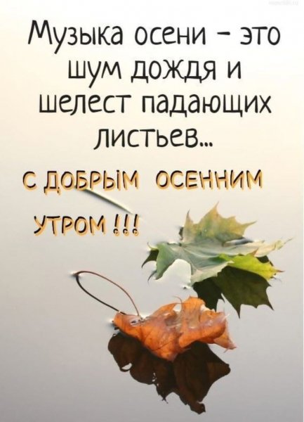 С добрым осенним утром!