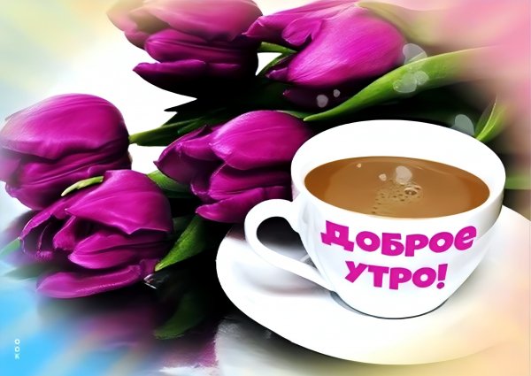 Доброе утро!