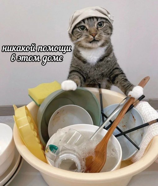 КотЭ)