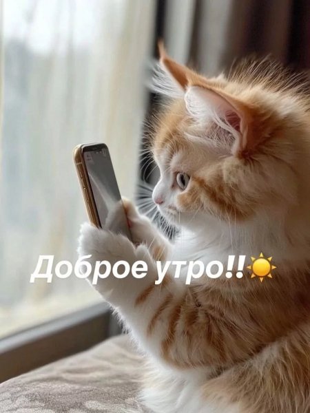 Доброе утро