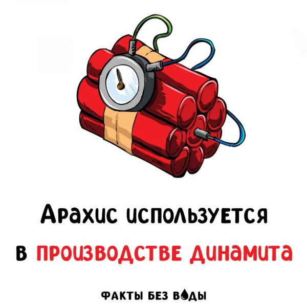 IMG 20250805 210846 846