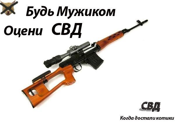 SVD