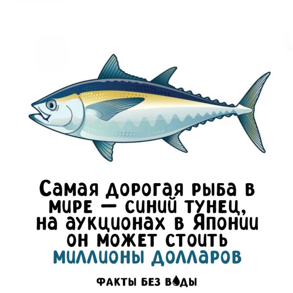 IMG 20250909 095426 130