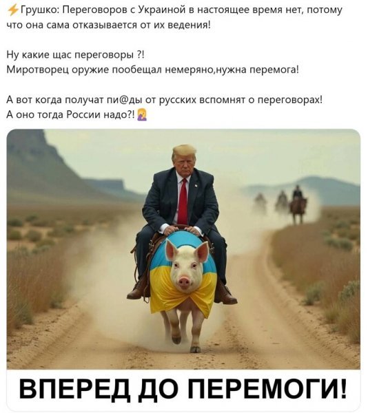 p.600.600.0